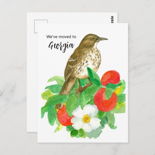 ムービングアナウンスメントジョージアピーチチェロキーバラ ポストカード (正面/裏面)
