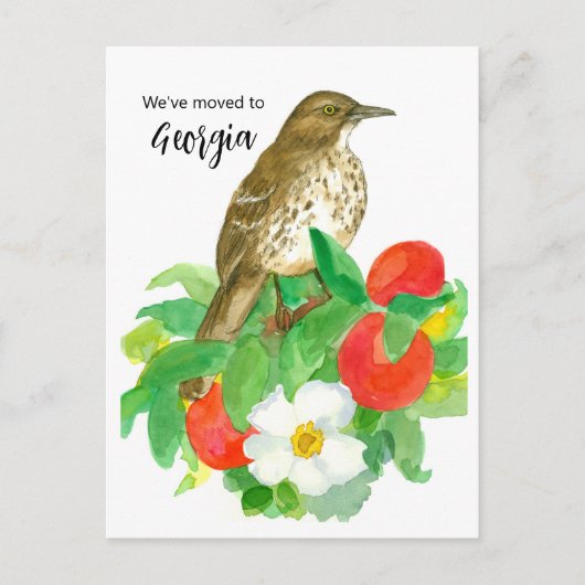 ムービングアナウンスメントジョージアピーチチェロキーバラ ポストカード (正面)