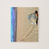 ムービングストーンズ死の谷 ジグソーパズル (縦)