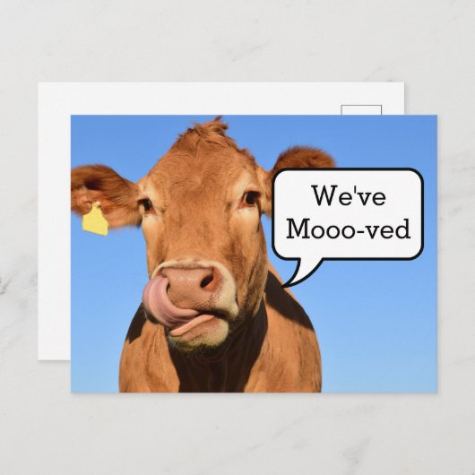 ムービングハおもしろいウス |引っ越しました 案内ポストカード (正面/裏面)