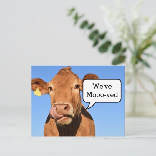 ムービングハおもしろいウス |引っ越しました 案内ポストカード (スタンド正面)