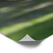 ムーフロンラム ポスター (角)