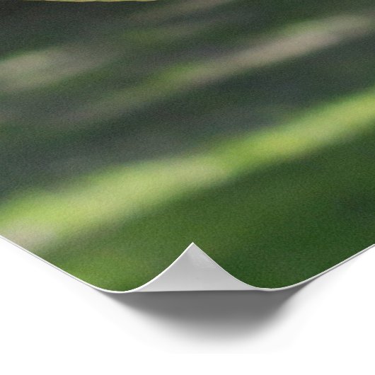 ムーフロンラム ポスター (角)