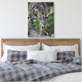 ムーブメントでClouded Leopard キャンバスプリント (インサイチュ (寝室))