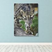 ムーブメントでClouded Leopard キャンバスプリント (インサイチュ (ウッドフロア))