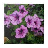 ムームタイル（紫） タイル (正面)