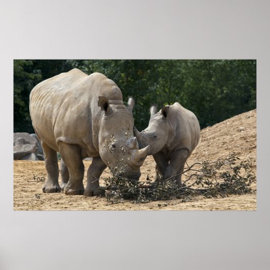 ムーム付きランチプリント ポスター (正面)