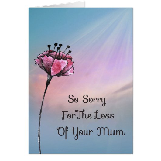 ムーム・クランベリー花の紛失に関するお見舞いカード (正面)