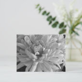 ムーム・ザ・ワード・ハガキ ポストカード (スタンド正面)