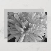 ムーム・ザ・ワード・ハガキ ポストカード (正面/裏面)