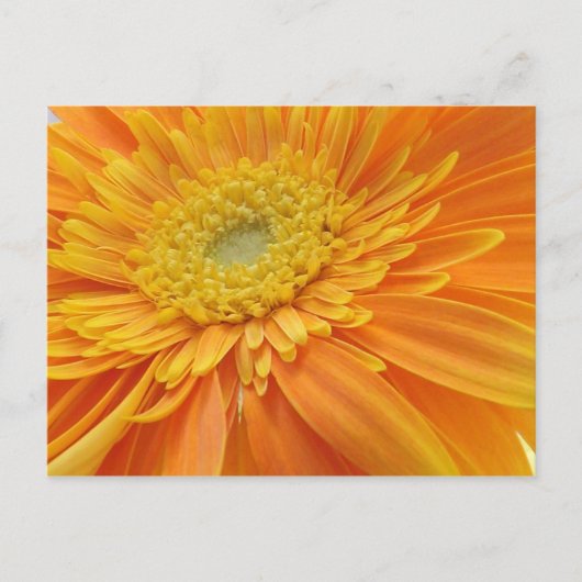 ムーム・ザ・ワード・ハガキ ポストカード (正面)