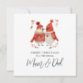 ムーム&パパウォーター色(鳥)ショウジョウコウカンチョウカップルのクリスマス シーズンカード (正面)