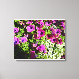 ムーム（紫）と白（白） キャンバスプリント