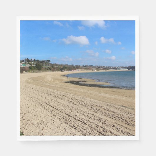 ムーランブランビーチインブレスト スタンダードランチョンナプキン (正面)