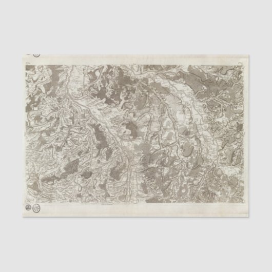 ムーラン 薄葉紙 (正面)