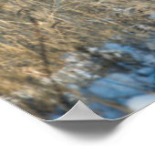 ムールディアバック&ドー ポスター (角)