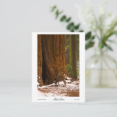 ムールディアフォトポストカード ポストカード (スタンド正面)