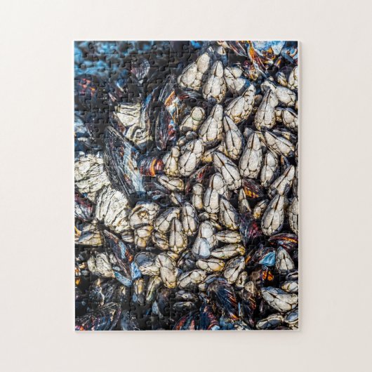 ムール貝とグースネックのバーナクル – トフィノ、紀元前。 ジグソーパズル (縦)