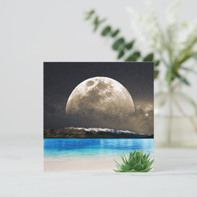 ムーンアンドビーチ (スタンド正面)