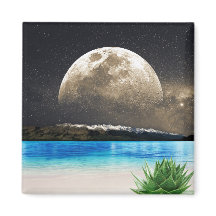 ムーンアンドビーチ