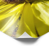 ムーンウォーカーサンフラワーが空に達する フォトプリント            (角)