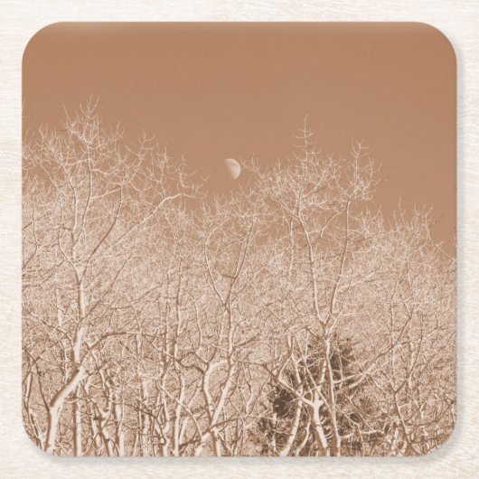 ムーンオーバーザホワイトフォレスト – コロラドコースター スクエアペーパーコースター (正面)