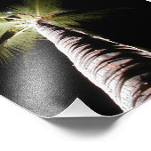 ムーンオーバーパームプリント フォトプリント            (角)