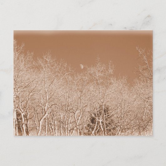 ムーンオーバー・ザ・ホワイト・フォレスト・ハガキ ポストカード (正面)