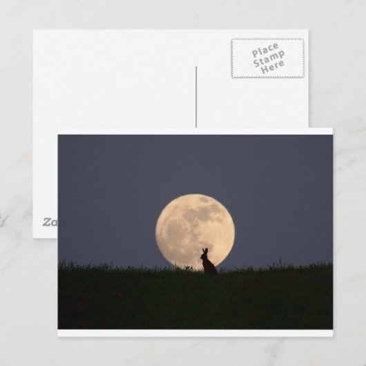 ムーンガザー ポストカード (正面/裏面)