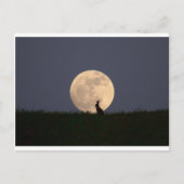ムーンガザー ポストカード (正面)