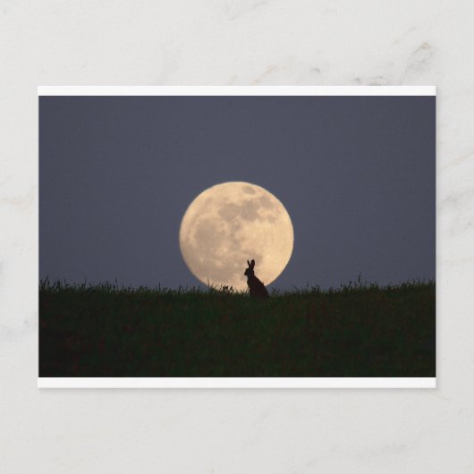 ムーンガザー ポストカード (正面)