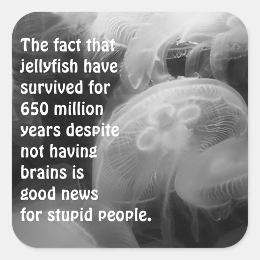 ムーンクラゲのシール スクエアシール (正面)