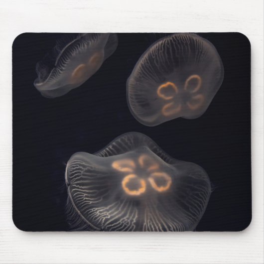 ムーンクラゲ泳ぎ マウスパッド (正面)