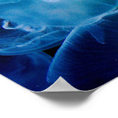 ムーンクラゲ ポスター (角)