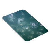 ムーンクラゲ マグネット (右側)