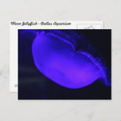 ムーンクラゲ# 6 ポストカード (正面/裏面)