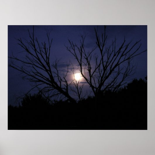 ムーングロー ポスター (正面)