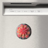 ムーンサボテン磁石 マグネット (インサイチュ (食洗機))