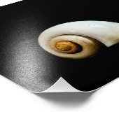 ムーンシェル フォトプリント            (角)