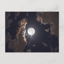 ムーンシャイン ポストカード