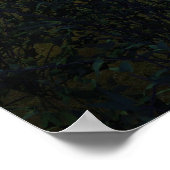 ムーンシュルームズ ポスター (角)