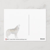 ムーンショック ポストカード (裏面)