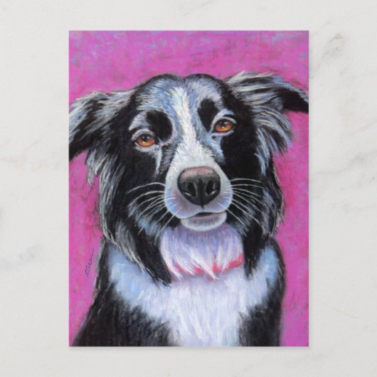 ムーンドッグ縁どコリー ポストカード (正面)