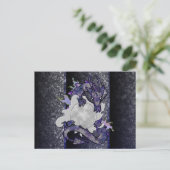 ムーンドラゴン ポストカード (スタンド正面)