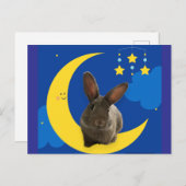 ムーンバニー ポストカード (正面/裏面)