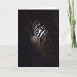 ムーンフォンド カード