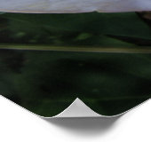 ムーンフラワープリント ポスター (角)