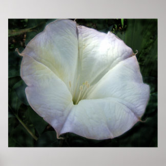 ムーンフラワープリント ポスター