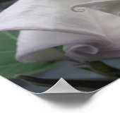 ムーンフラワー ポスター (角)