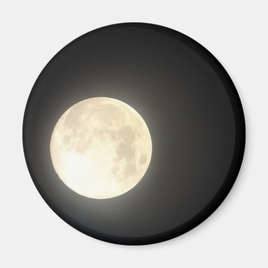 ムーンマグネット マグネット (正面)